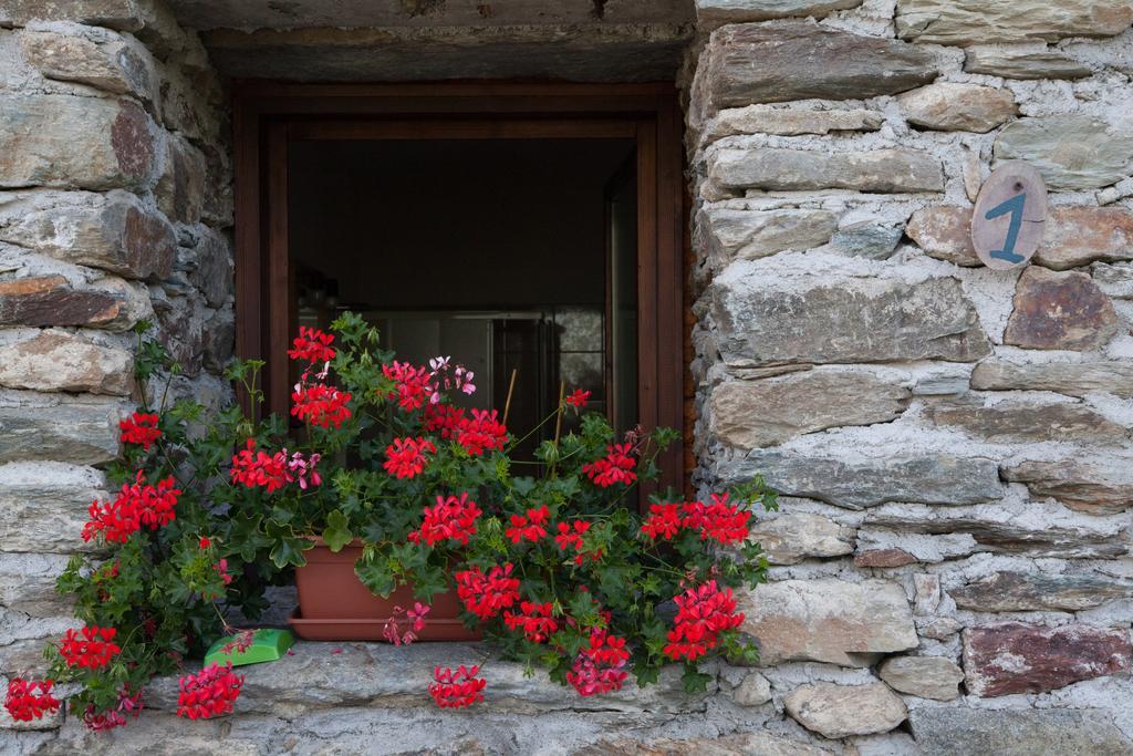 Agriturismo Al Castagneto Villa Mazzo di Valtellina Ngoại thất bức ảnh