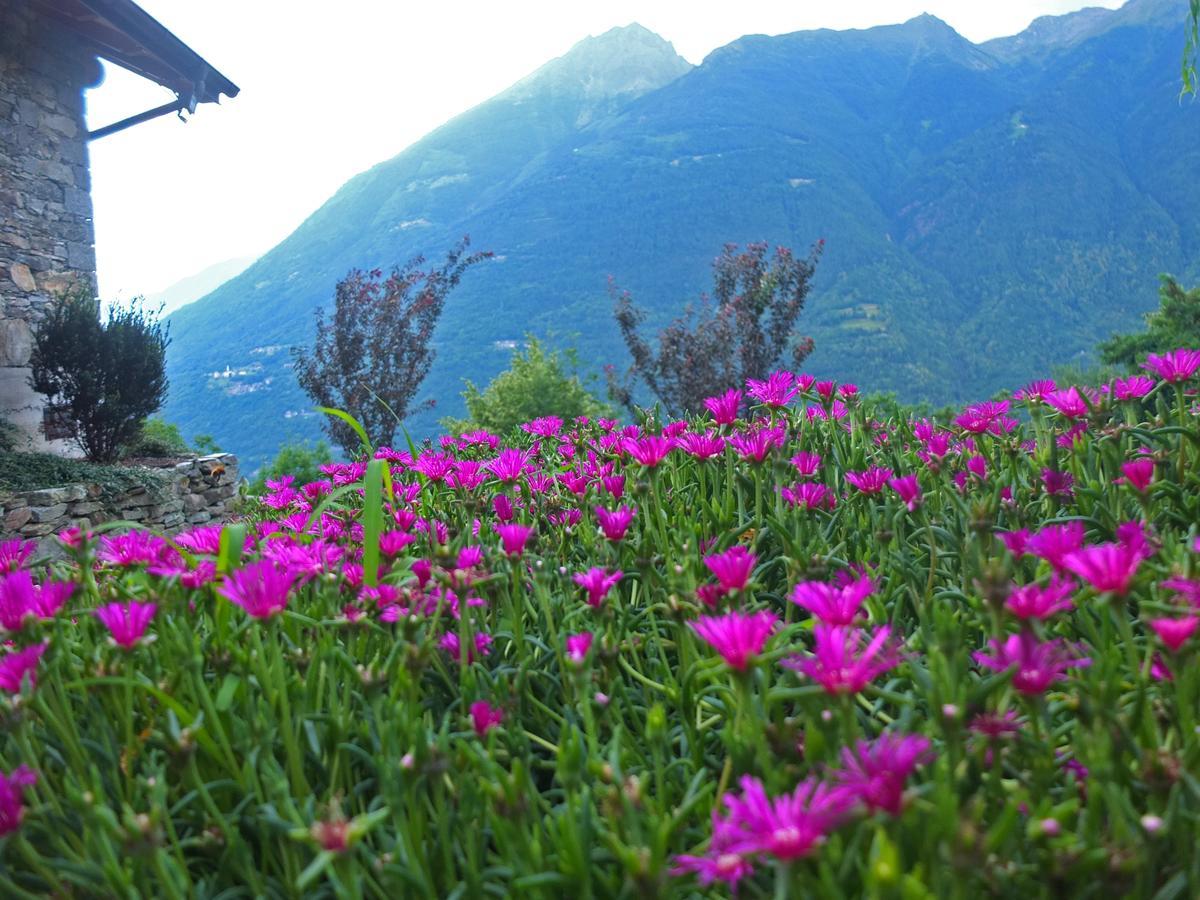 Agriturismo Al Castagneto Villa Mazzo di Valtellina Ngoại thất bức ảnh