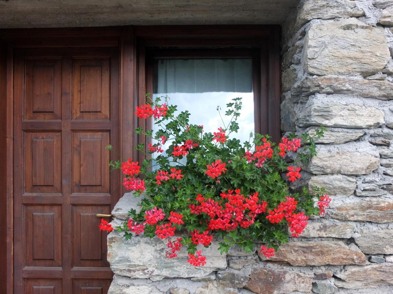Agriturismo Al Castagneto Villa Mazzo di Valtellina Ngoại thất bức ảnh