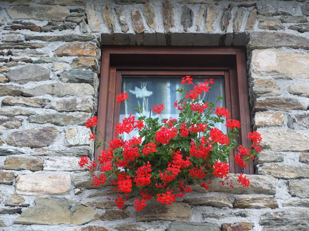 Agriturismo Al Castagneto Villa Mazzo di Valtellina Ngoại thất bức ảnh